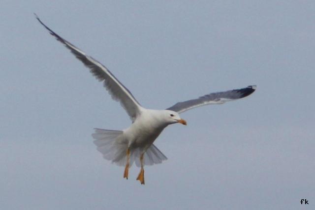 Sur les toits de Venise