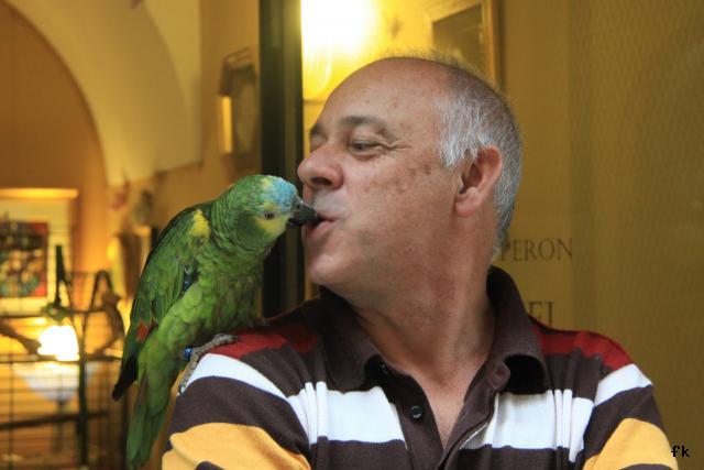 Dans les rues de Venise